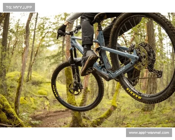 禧玛诺新款XTR PD-M9220脚踏专为林道越野设计提升骑行表现